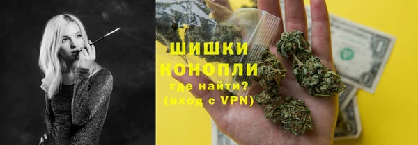 стаф Новокубанск
