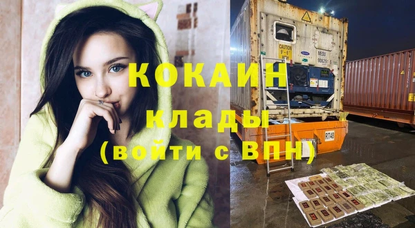 стаф Новокубанск