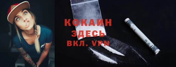 стаф Новокубанск