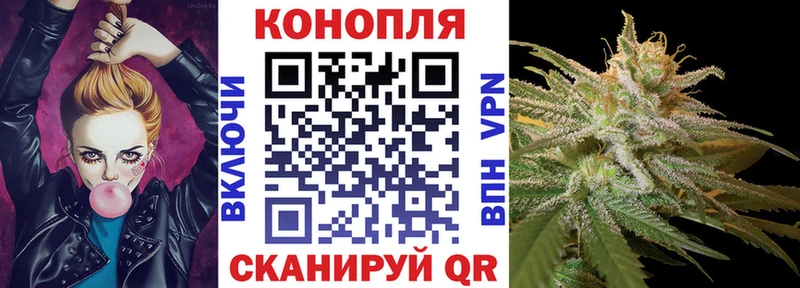 как найти закладки  Партизанск  Марихуана сатива 